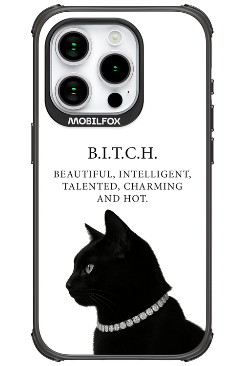 B. i. t. c. h. - Apple iPhone 15 Pro