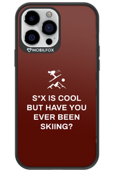 Have You Ever - Apple iPhone 13 Pro Max