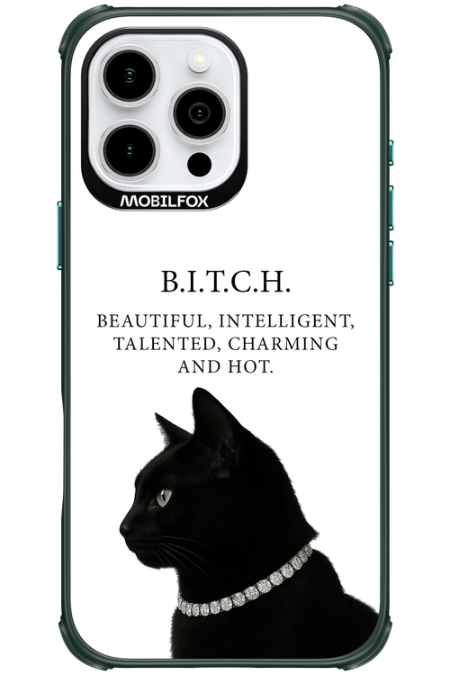 B. i. t. c. h. 2.0 - Apple iPhone 16 Pro Max