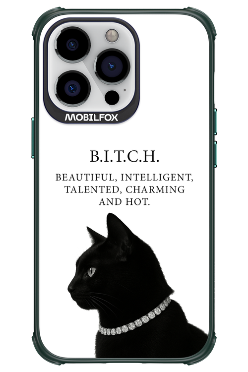 B. i. t. c. h. - Apple iPhone 13 Pro