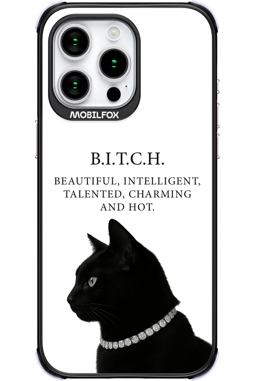 B. i. t. c. h. - Apple iPhone 15 Pro Max