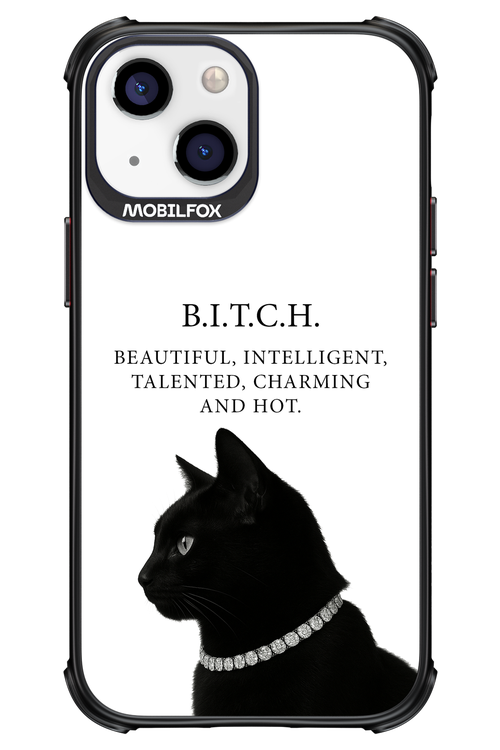 B. i. t. c. h. 2.0 - Apple iPhone 13 Mini