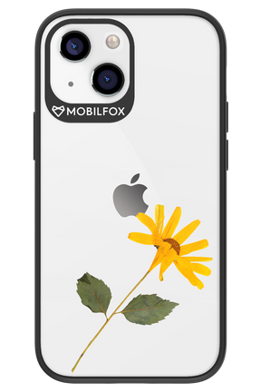Pressed Flower - Apple iPhone 13 Mini