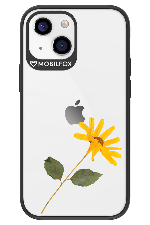 Pressed Flower - Apple iPhone 13 Mini