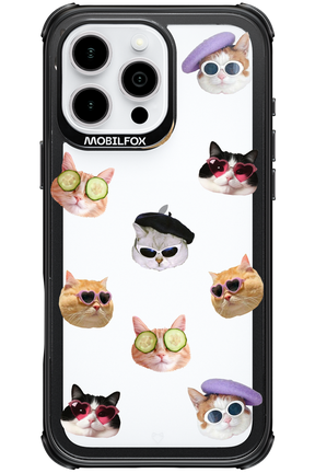 Cat Gang - Apple iPhone 16 Pro Max
