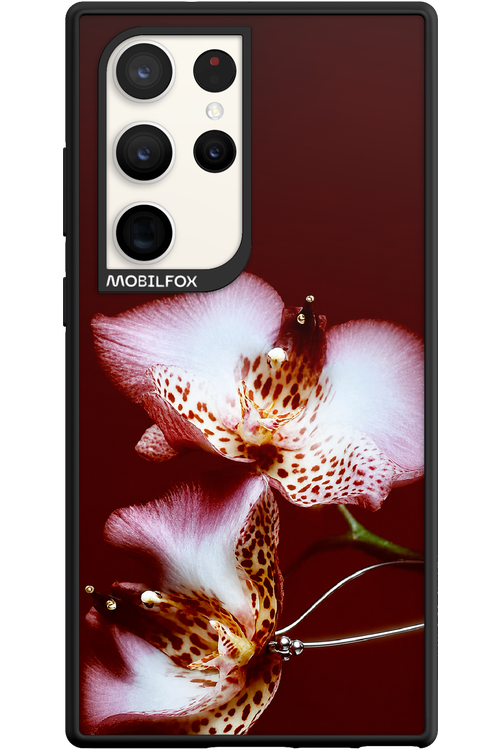 Leobloomy 2.0 - Samsung Galaxy S23 Ultra