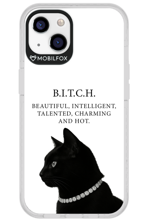 B. i. t. c. h. 2.0 - Apple iPhone 13