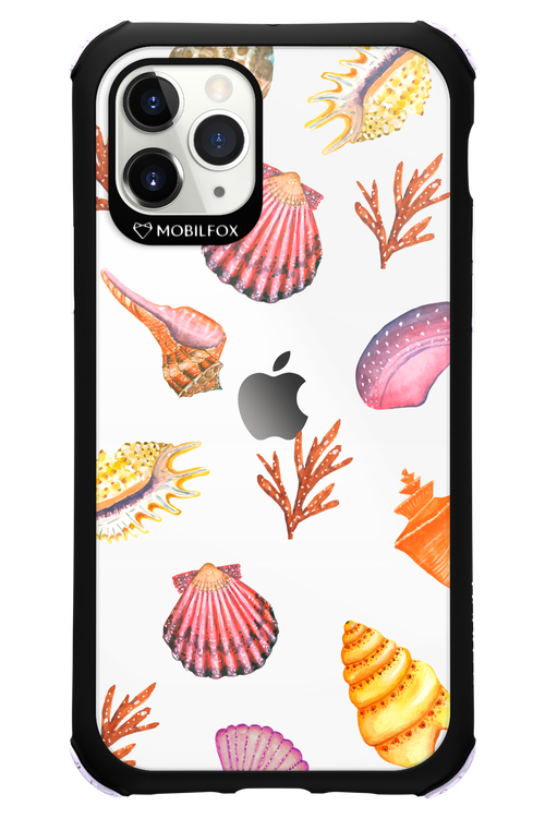 Sea Shells - Apple iPhone 11 Pro