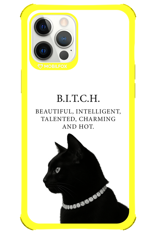 B. i. t. c. h. 2.0 - Apple iPhone 12 Pro Max