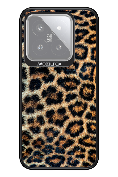 Leopard - Xiaomi 14