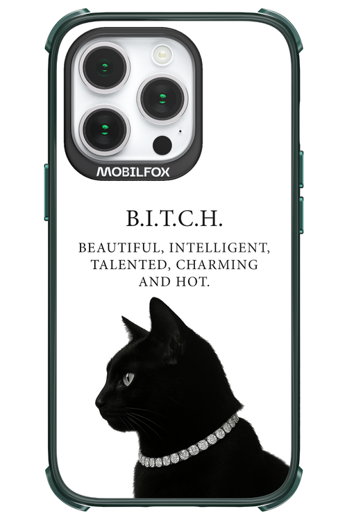 B. i. t. c. h. - Apple iPhone 14 Pro