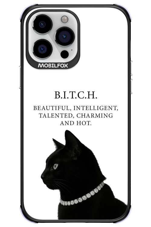 B. i. t. c. h. - Apple iPhone 13 Pro Max