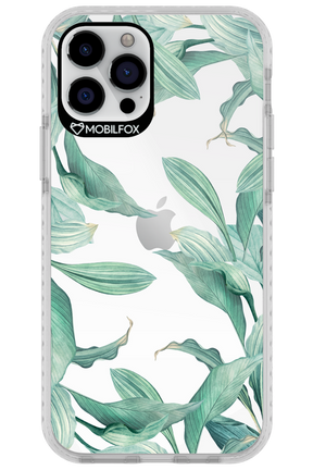 Greenpeace - Apple iPhone 12 Pro