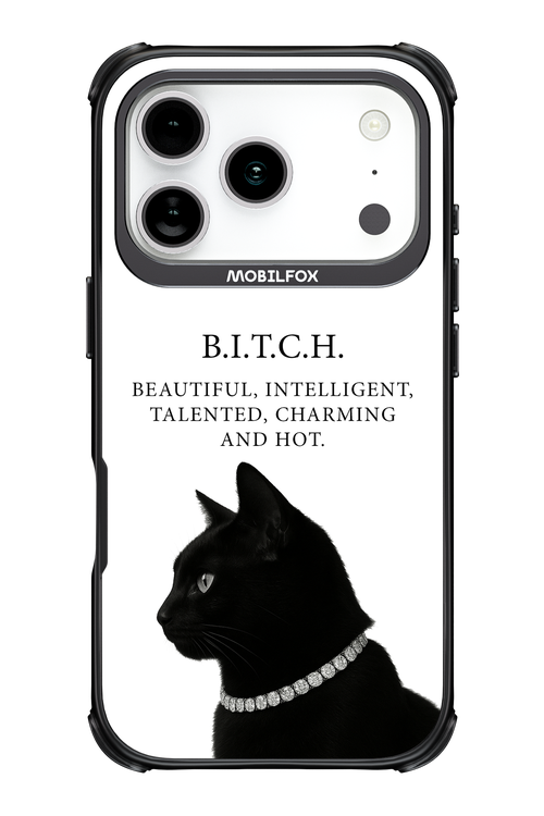 B. i. t. c. h. 2.0 - Apple iPhone 17 Pro