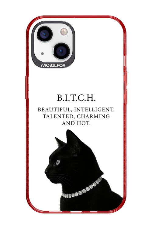 B. i. t. c. h. 2.0 - Apple iPhone 13