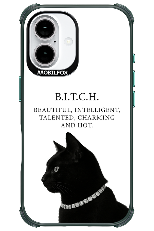 B. i. t. c. h. - Apple iPhone 16