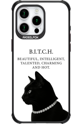 B. i. t. c. h. - Apple iPhone 15 Pro Max