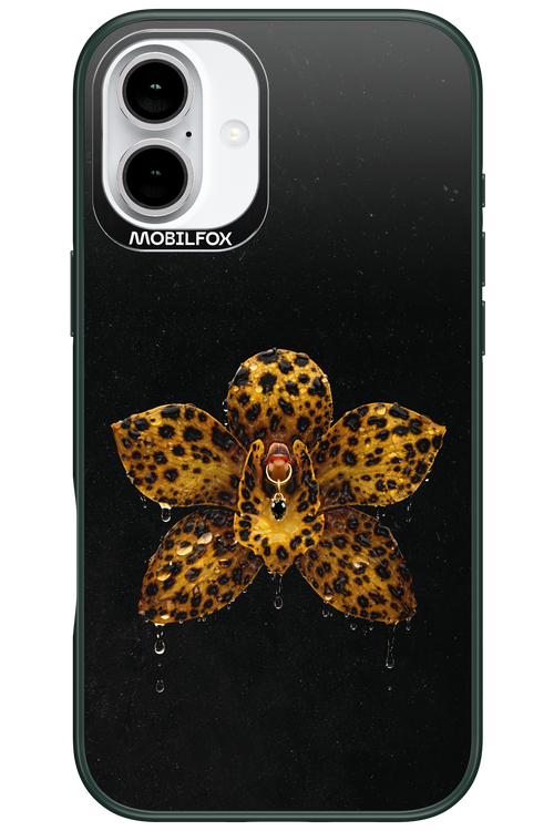 Wet & Wild 2.0 - Apple iPhone 16 Plus
