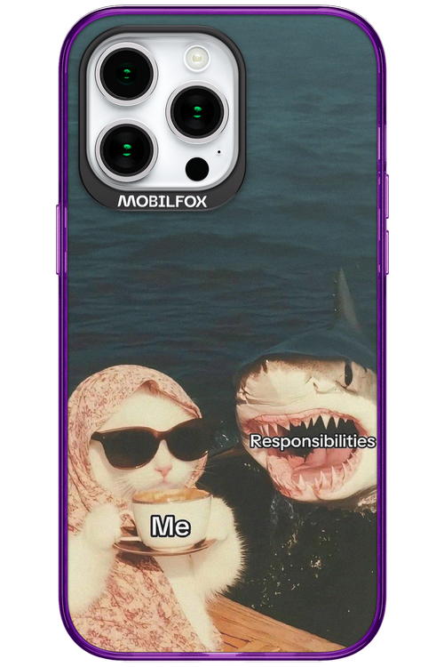 Responsibilities - Apple iPhone 15 Pro Max