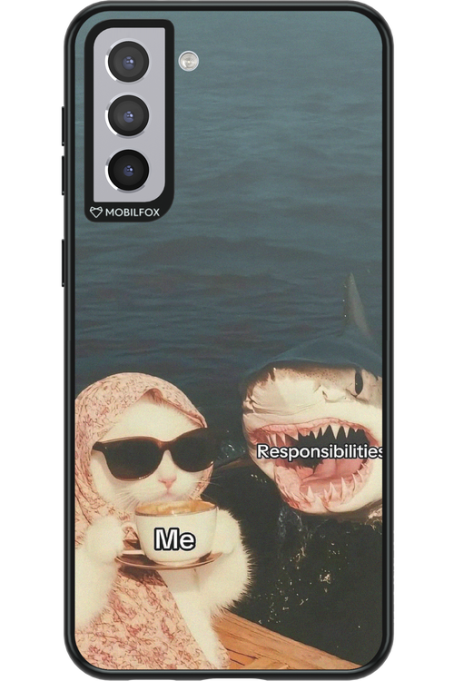Responsibilities - Samsung Galaxy S21+