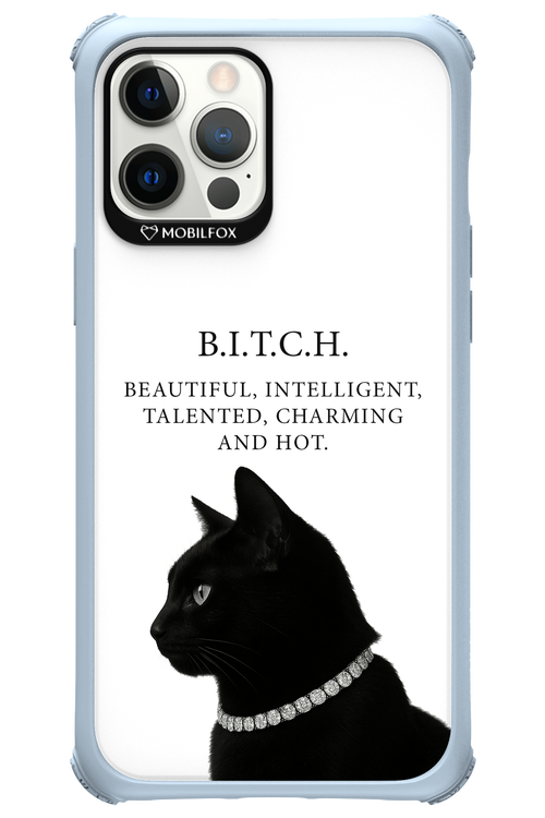 B. i. t. c. h. - Apple iPhone 12 Pro Max