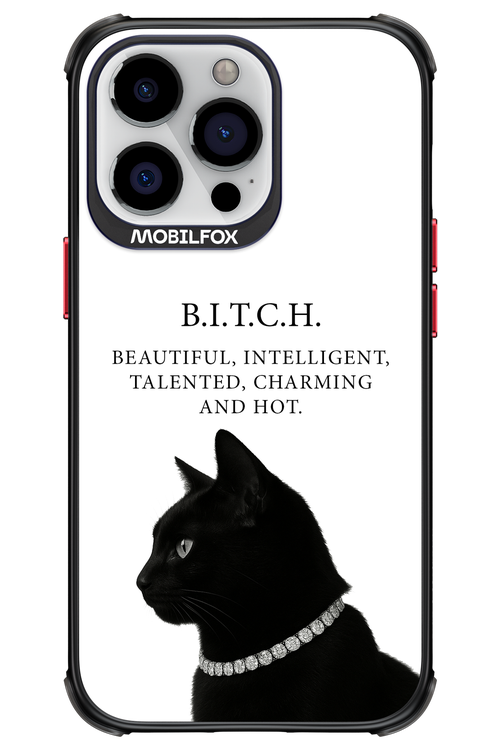 B. i. t. c. h. - Apple iPhone 13 Pro