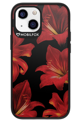 Amaryllis Noir - Apple iPhone 13 Mini