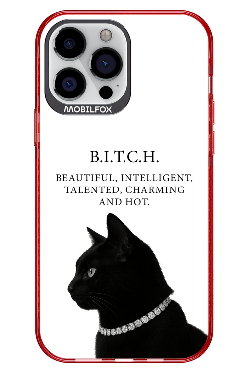 B. i. t. c. h. - Apple iPhone 13 Pro Max