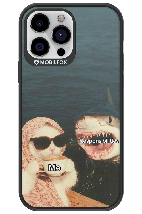 Responsibilities - Apple iPhone 13 Pro Max