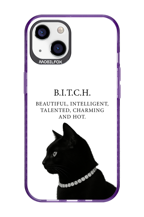 B. i. t. c. h. 2.0 - Apple iPhone 13