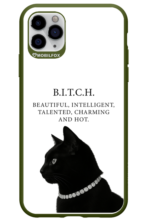 B. i. t. c. h. - Apple iPhone 11 Pro Max