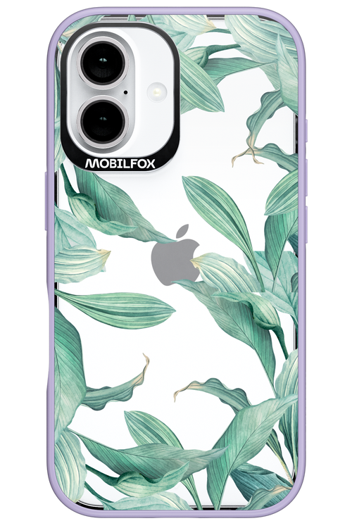 Greenpeace - Apple iPhone 16