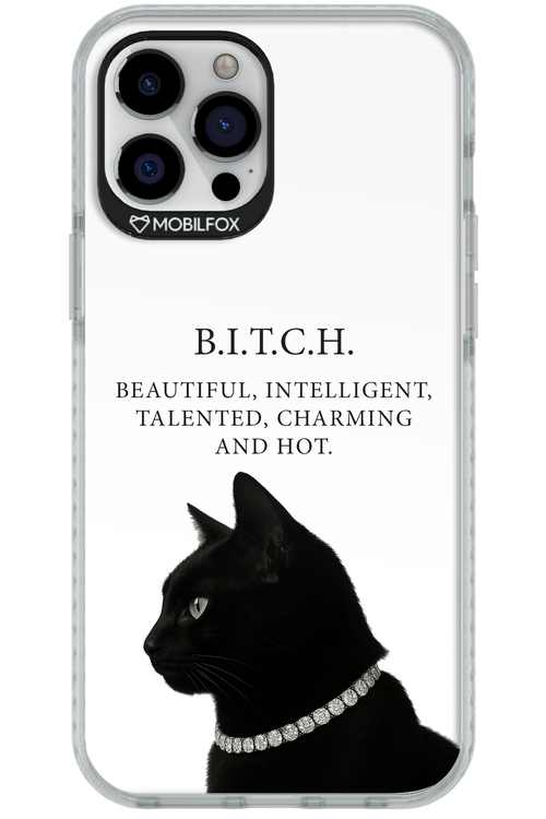 B. i. t. c. h. 2.0 - Apple iPhone 12 Pro Max