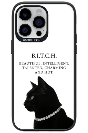 B. i. t. c. h. - Apple iPhone 14 Pro Max