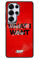 WHAT I WANT 2.0 - Samsung S25 Ultra