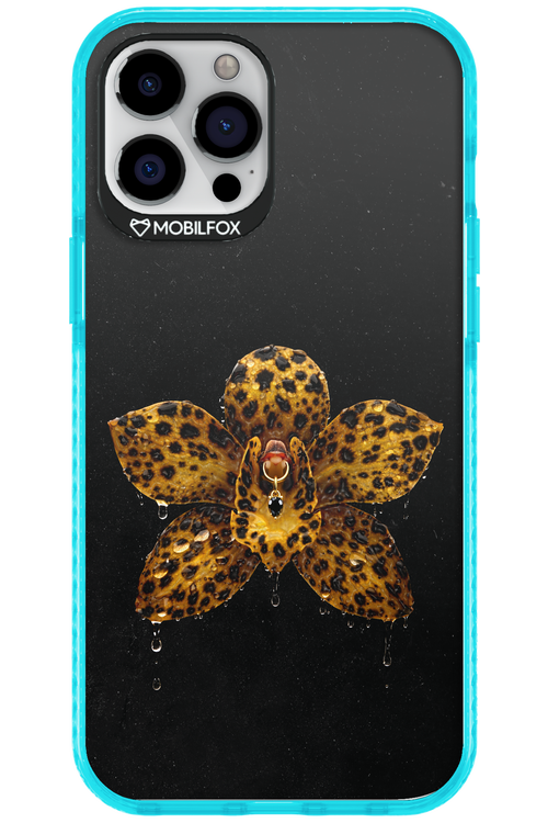 Wet & Wild 2.0 - Apple iPhone 12 Pro Max