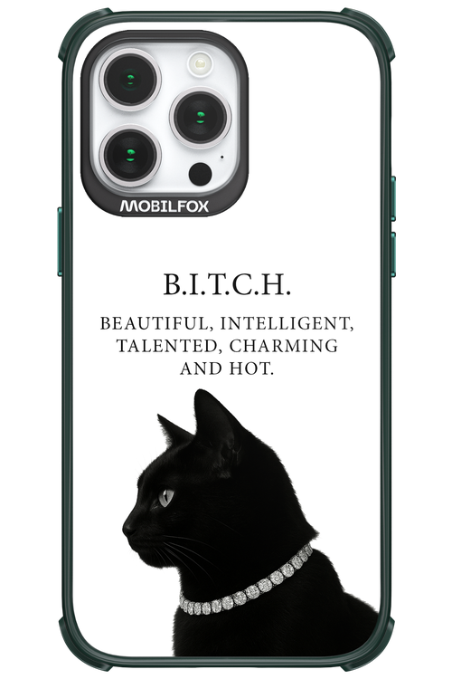 B. i. t. c. h. - Apple iPhone 14 Pro Max