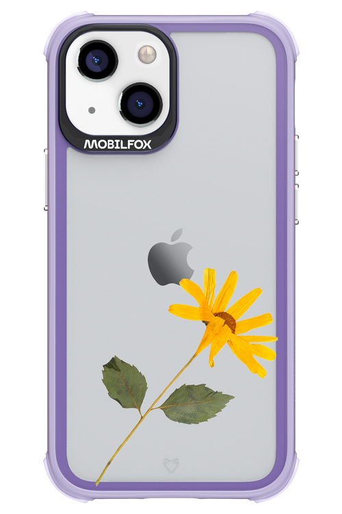 Pressed Flower - Apple iPhone 13 Mini