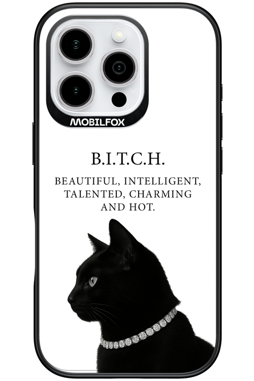 B. i. t. c. h. 2.0 - Apple iPhone 16 Pro