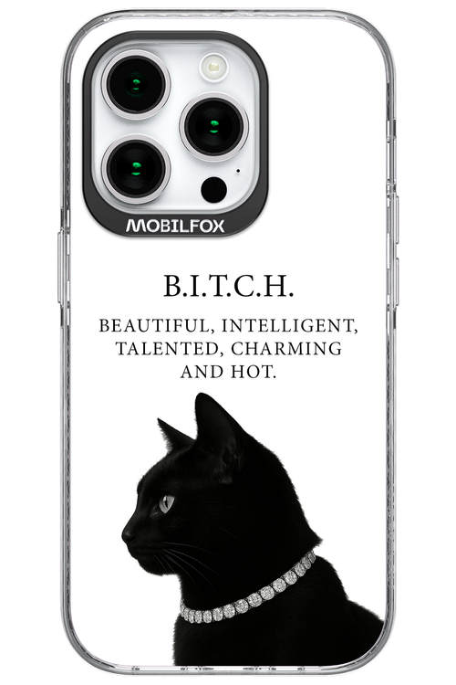 B. i. t. c. h. - Apple iPhone 15 Pro