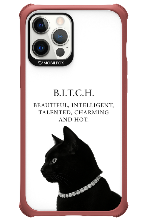 B. i. t. c. h. - Apple iPhone 12 Pro Max