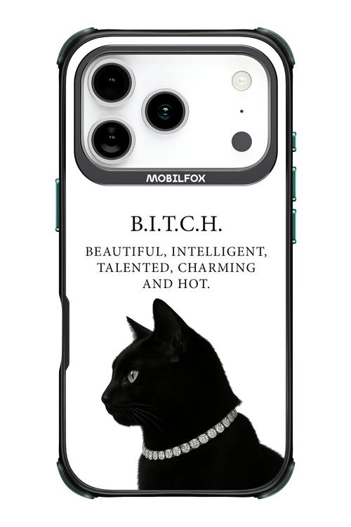 B. i. t. c. h. 2.0 - Apple iPhone 17 Pro