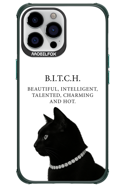 B. i. t. c. h. - Apple iPhone 13 Pro Max