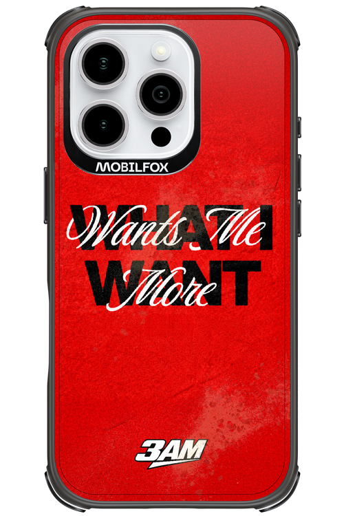 WHAT I WANT 2.0 - Apple iPhone 16 Pro