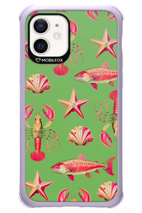 Sea Stars - Apple iPhone 12