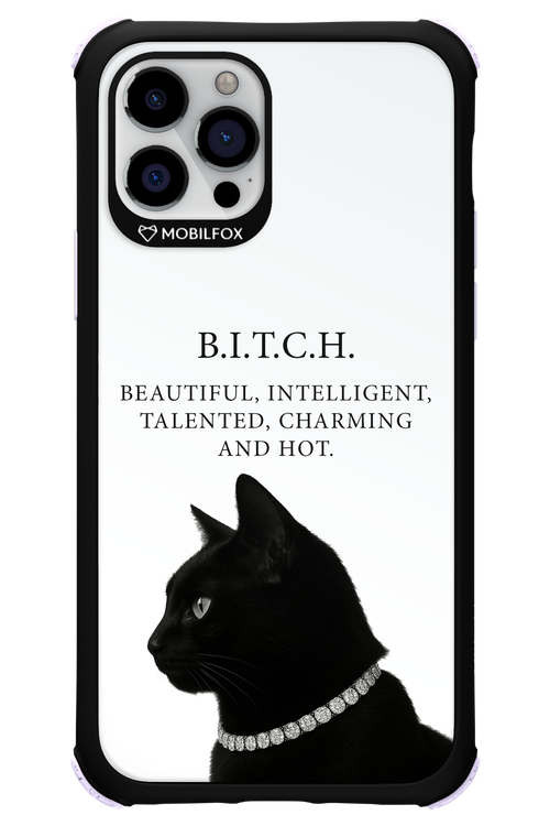 B. i. t. c. h. - Apple iPhone 12 Pro