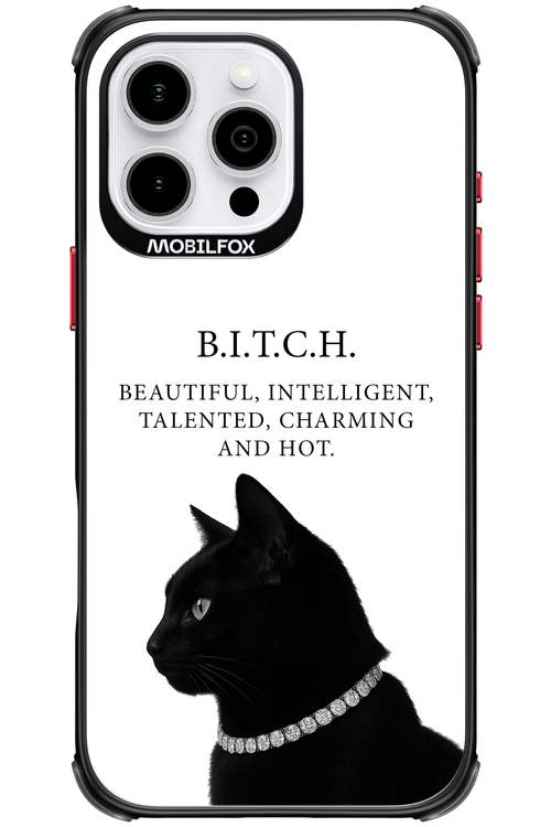 B. i. t. c. h. - Apple iPhone 16 Pro Max