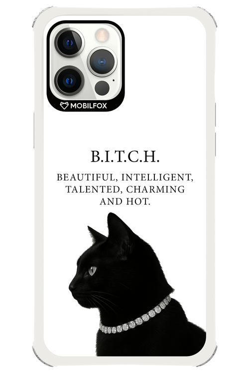 B. i. t. c. h. - Apple iPhone 12 Pro Max