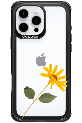 Pressed Flower - Apple iPhone 16 Pro Max