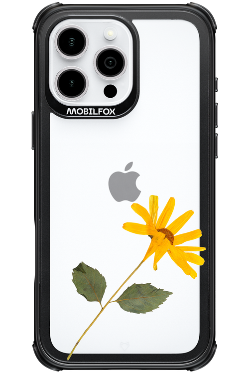 Pressed Flower - Apple iPhone 16 Pro Max